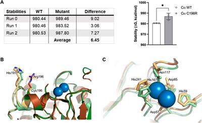 Clinical and molecular characteristics of a novel rare de novo variant in PPP2CA in a patient with a developmental disorder, autism, and epilepsy